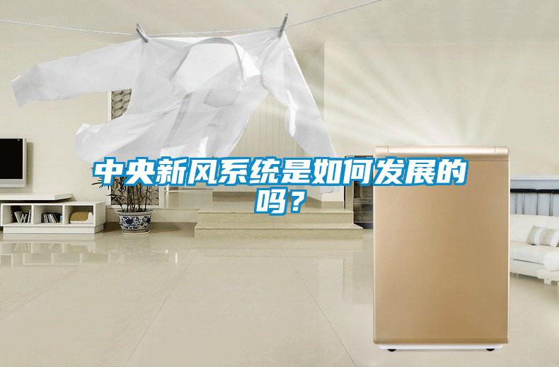 中央新風(fēng)系統(tǒng)是如何發(fā)展的嗎？