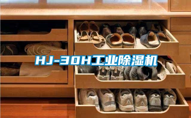 HJ-30H工業(yè)除濕機(jī)