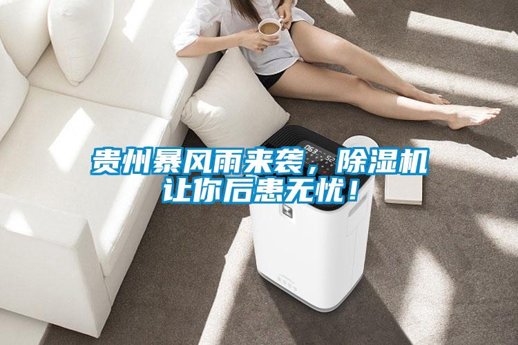 貴州暴風(fēng)雨來襲，除濕機(jī)讓你后患無憂！