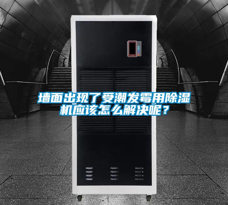 墻面出現了受潮發霉用除濕機應該怎么解決呢？
