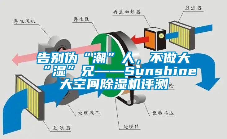 告別偽“潮”人，不做大“濕”兄——Sunshine大空間除濕機(jī)評測
