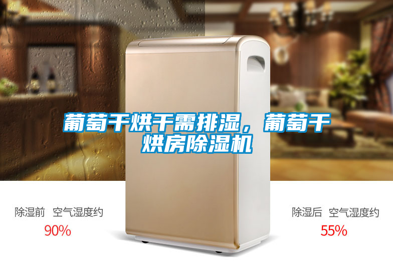 葡萄干烘干需排濕，葡萄干烘房除濕機