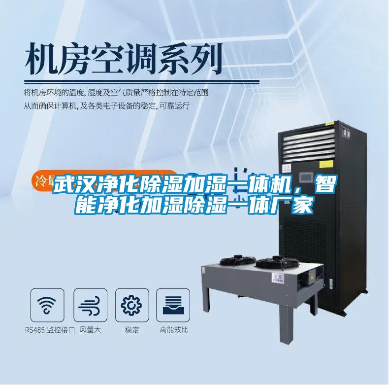 武漢凈化除濕加濕一體機，智能凈化加濕除濕一體廠家