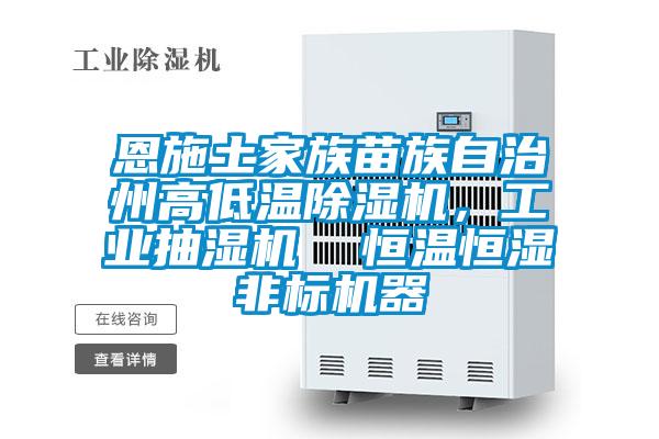 恩施土家族苗族自治州高低溫除濕機，工業(yè)抽濕機  恒溫恒濕非標機器