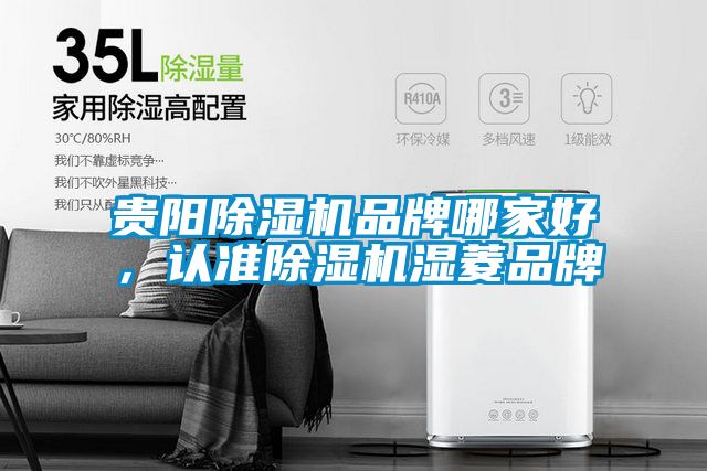 貴陽(yáng)除濕機(jī)品牌哪家好，認(rèn)準(zhǔn)除濕機(jī)濕菱品牌