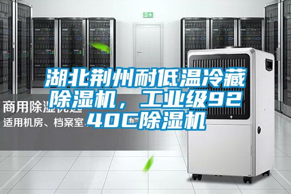 湖北荊州耐低溫冷藏除濕機，工業級9240C除濕機