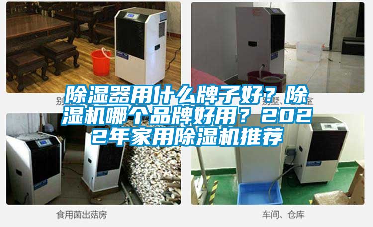 除濕器用什么牌子好？除濕機(jī)哪個品牌好用？2022年家用除濕機(jī)推薦