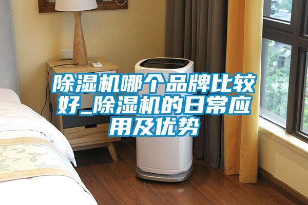 除濕機(jī)哪個品牌比較好_除濕機(jī)的日常應(yīng)用及優(yōu)勢